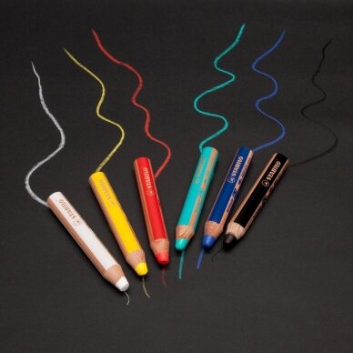 Įvairių spalvų pieštukų rinkinys / 10spalvų + magiškas trintukas ir drožtukas 12