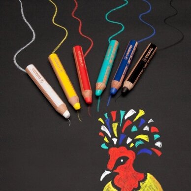 Įvairių spalvų pieštukų rinkinys / 10spalvų + magiškas trintukas ir drožtukas 16