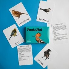 Lavinamųjų kortelių rinkinys „Paukščiai“