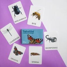 Lavinamųjų kortelių rinkinys „Vabzdžiai ir kiti nariuotakojai“