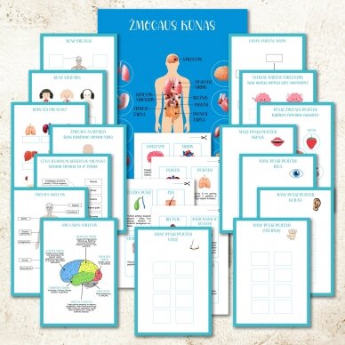 "Žmogaus kūnas" - Lavinamoji užduočių ir žaidimų knyga vaikams  (PDF) 2