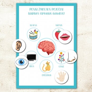 "Žmogaus kūnas" - Lavinamoji užduočių ir žaidimų knyga vaikams  (PDF)