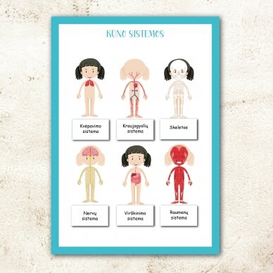 Lavinamoji užduočių ir žaidimų knyga vaikams "Žmogaus kūnas" (PDF)