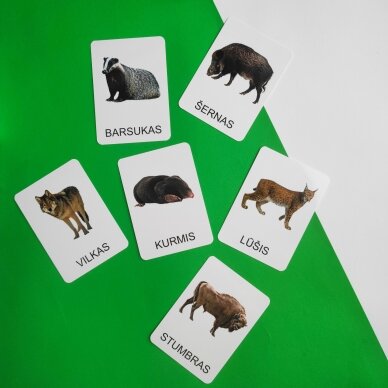 Lavinamųjų kortelių rinkinys „Miško gyvūnai“ 12