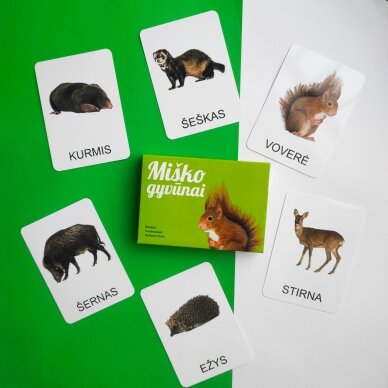 Lavinamųjų kortelių rinkinys „Miško gyvūnai“