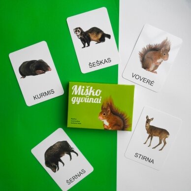 Lavinamųjų kortelių rinkinys „Miško gyvūnai“ 3
