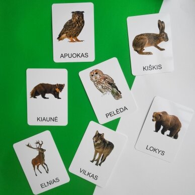 Lavinamųjų kortelių rinkinys „Miško gyvūnai“ 4