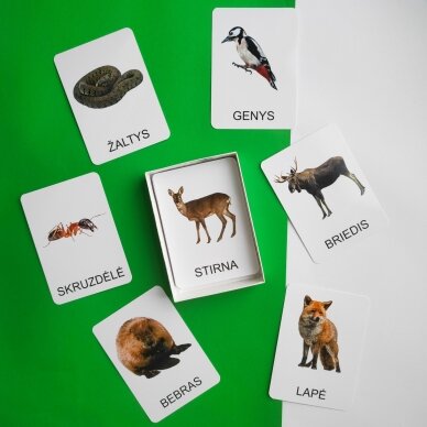 Lavinamųjų kortelių rinkinys „Miško gyvūnai“ 5