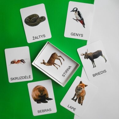 Lavinamųjų kortelių rinkinys „Miško gyvūnai“ 6