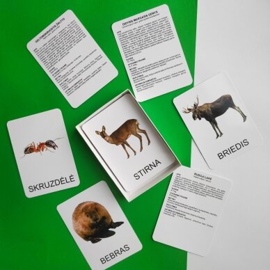 Lavinamųjų kortelių rinkinys „Miško gyvūnai“ 7