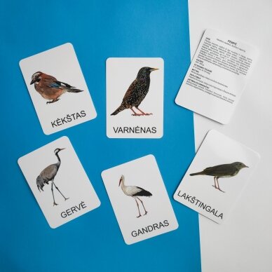 Lavinamųjų kortelių rinkinys „Paukščiai“ 5