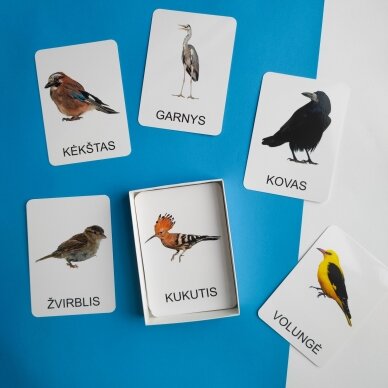 Lavinamųjų kortelių rinkinys „Paukščiai“ 6