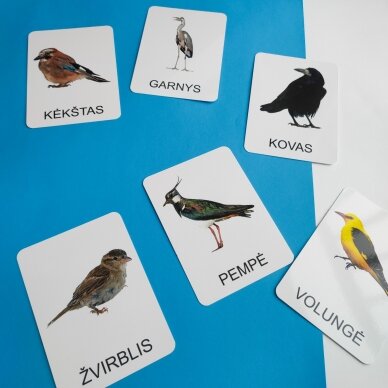 Lavinamųjų kortelių rinkinys „Paukščiai“ 7