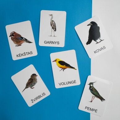 Lavinamųjų kortelių rinkinys „Paukščiai“ 8