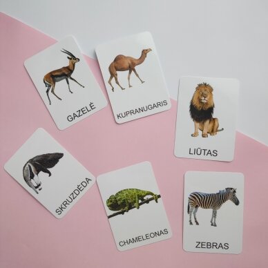 Lavinamųjų kortelių rinkinys „Tolimųjų kraštų gyvūnai“ 4