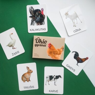 Lavinamųjų kortelių rinkinys „Ūkio gyvūnai“ 1