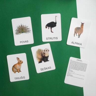 Lavinamųjų kortelių rinkinys „Ūkio gyvūnai“ 5