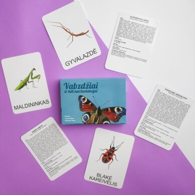 Lavinamųjų kortelių rinkinys „Vabzdžiai ir kiti nariuotakojai“ 6