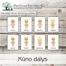 Montessori lavinamosios trijų dalių kortelės kūno dalys (PDF)