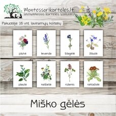 Montessori lavinamosios trijų dalių kortelės miško gėlės (PDF)