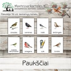 Montessori lavinamosios trijų dalių kortelės paukščiai (PDF)