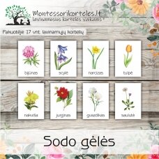 Trijų dalių „Montessori“ lavinamųjų kortelių rinkinys „Sodo gėlės“ PDF
